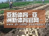 种植基地八