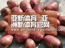 产品展示标题5