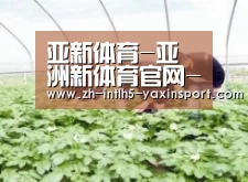 种植基地三