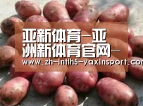 产品展示标题5(图1)