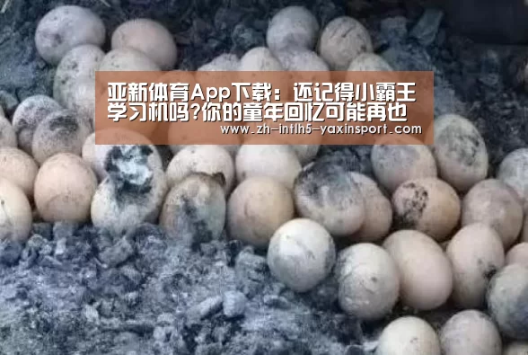  亚新体育手机应用