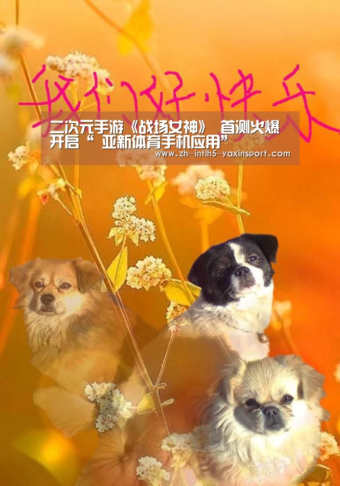 亚新体育App下载