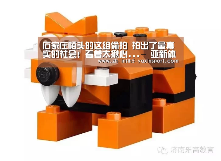 石家庄陌头的这组偷拍 拍出了最真实的社会!看着太揪心...- 亚新体育手机应用(图1) 亚新体育手机应用