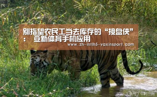 别指望农民工当去库存的“接盘侠”: 亚新体育手机应用(图1) 亚新体育App下载